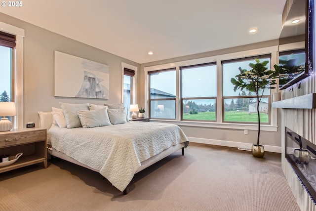 bedroom with carpet floors