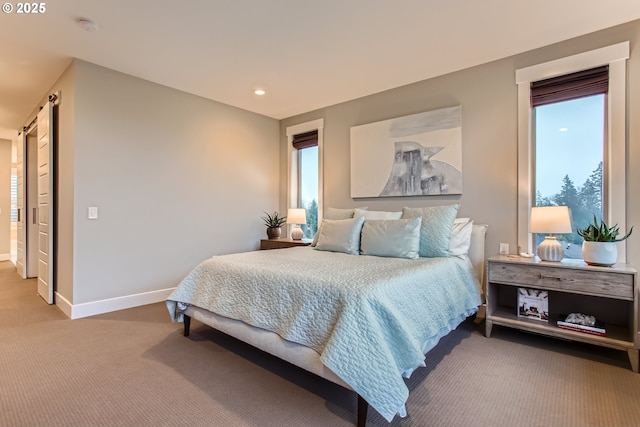 bedroom with carpet floors