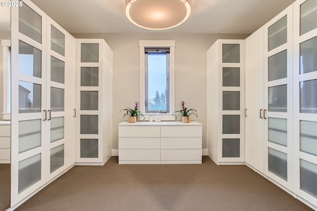 spacious closet with dark carpet