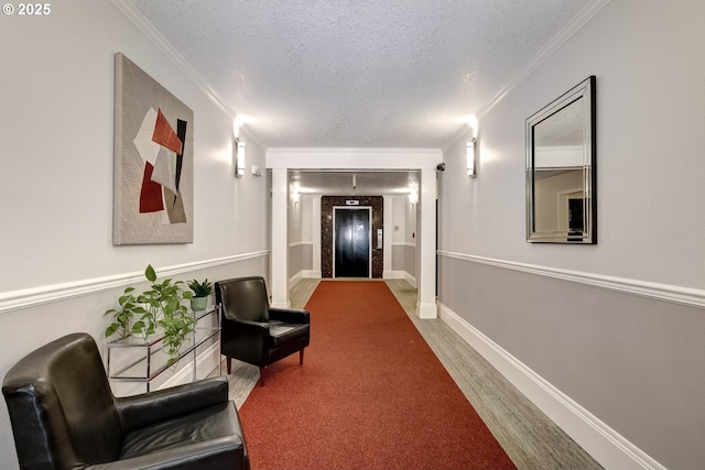 hallway with ornamental molding, hardwood / wood-style floors, and a textured ceiling