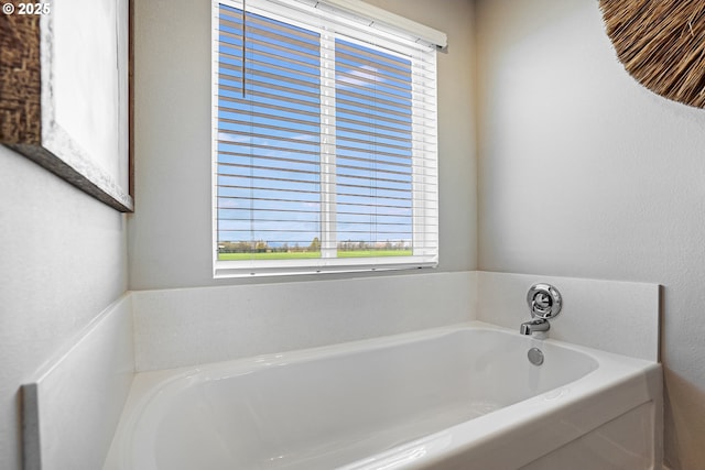 bathroom featuring a bathtub