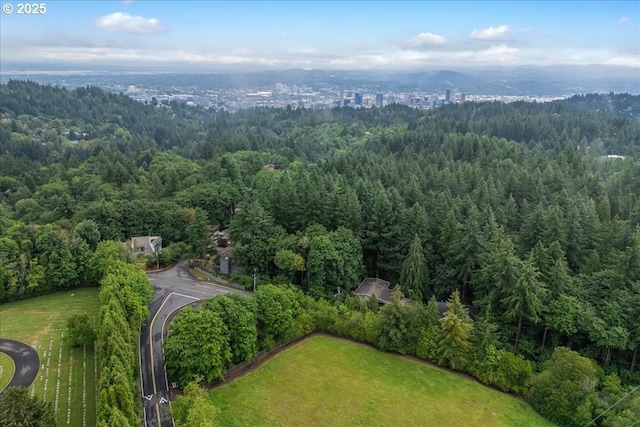 906 SW Skyline Blvd, Portland, OR 97221