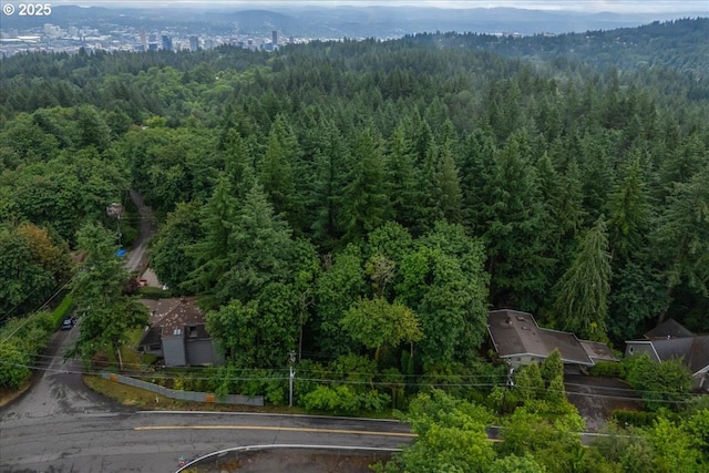 906 SW Skyline Blvd, Portland, OR 97221