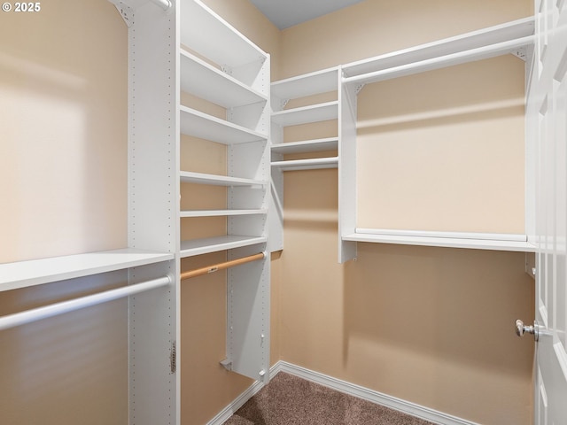 17712 SW 81st Pl, Durham, OR 97224 - walk in closet with carpet