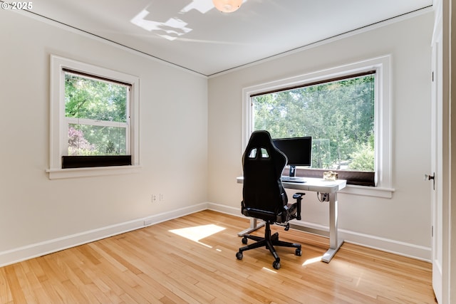 1556 Washington St, Eugene, OR 97401 - office space with baseboards, wood finished floors, and crown molding