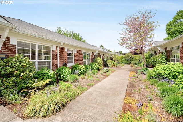 2643 NW Raleigh St Unit 30, Portland, OR 97210 - view of yard