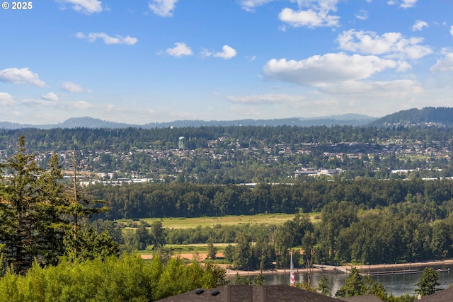 5360 NW 18th Ave, Camas, WA 98607 - view of mountain background featuring a heavily wooded area