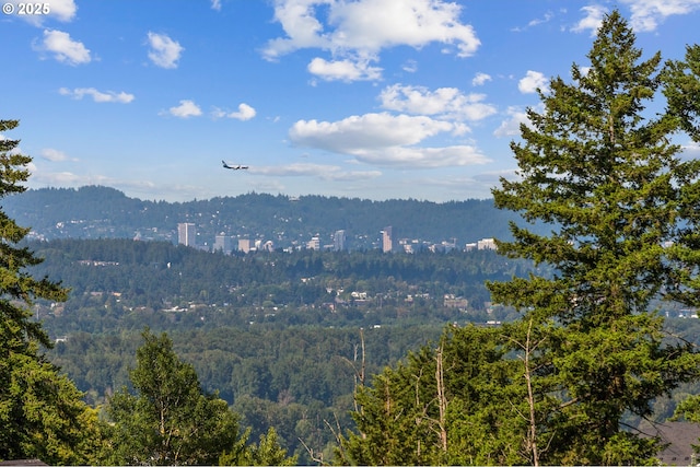 5360 NW 18th Ave, Camas, WA 98607 - mountain view featuring a heavily wooded area