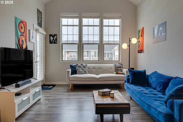 living room featuring lofted ceiling and wood-type flooring