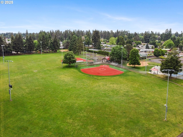 bird's eye view