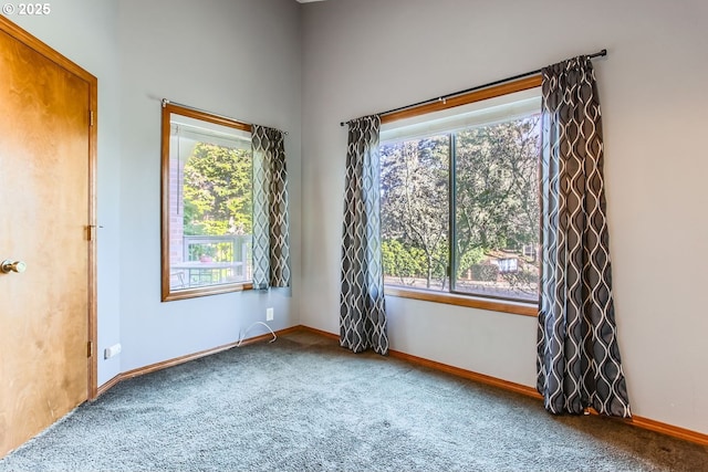 empty room with carpet flooring and a healthy amount of sunlight