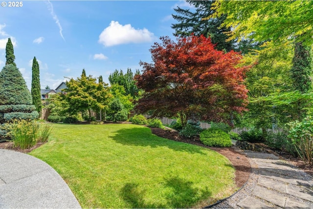 2814 NW Hill St, Camas, WA 98607 - view of green lawn