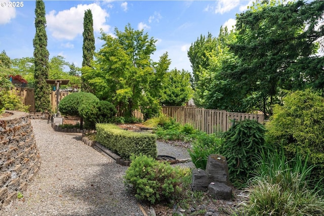 2814 NW Hill St, Camas, WA 98607 - view of yard