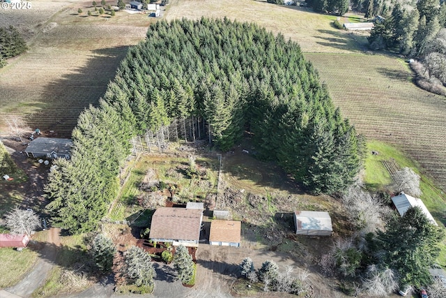 aerial view with a rural view