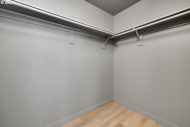 walk in closet featuring wood-type flooring