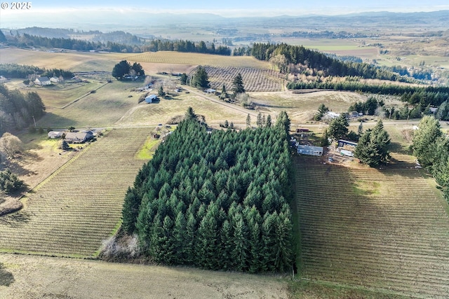 aerial view with a rural view