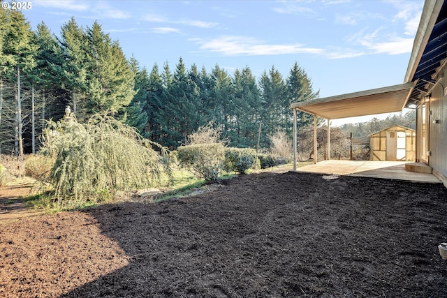 view of yard featuring a storage unit and a patio