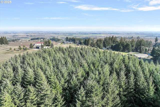 drone / aerial view featuring a rural view