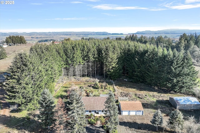 bird's eye view featuring a mountain view