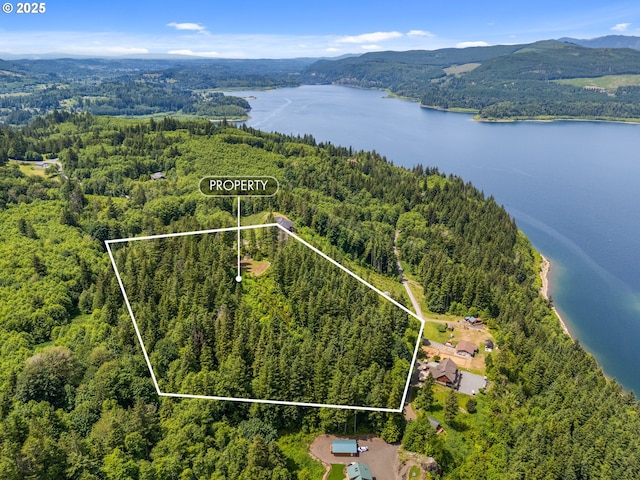 143 Meadow Ridge Way, Mossyrock, WA 98564