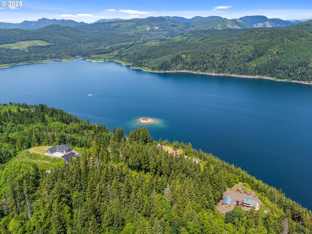 143 Meadow Ridge Way, Mossyrock, WA 98564