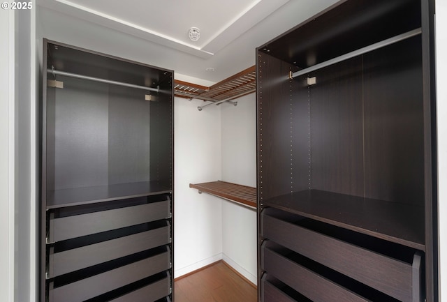 walk in closet featuring hardwood / wood-style flooring