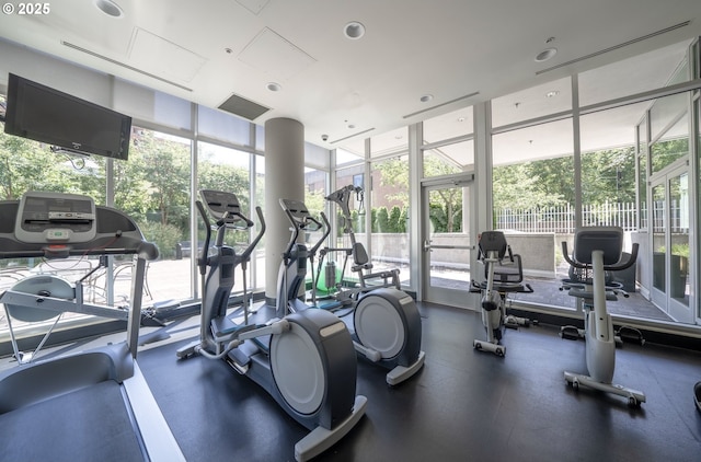 exercise room featuring floor to ceiling windows