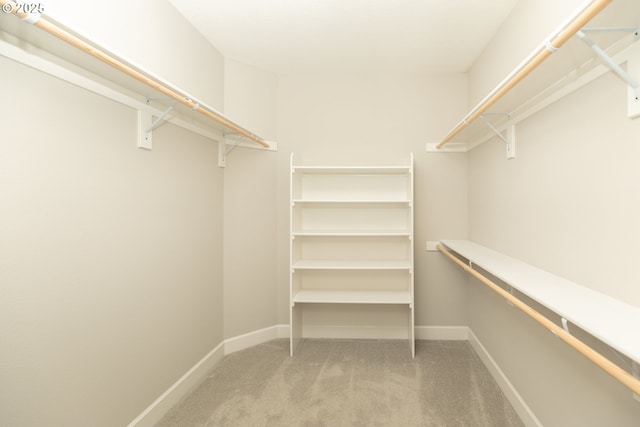 16922 NW Madrone St, Portland, OR 97229 - spacious closet with carpet