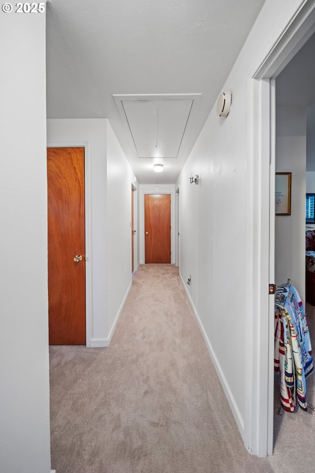 hall with light colored carpet