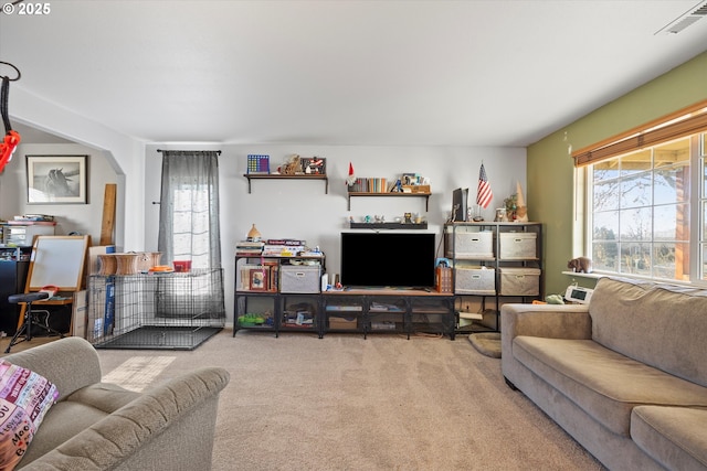 living room with carpet and a wealth of natural light