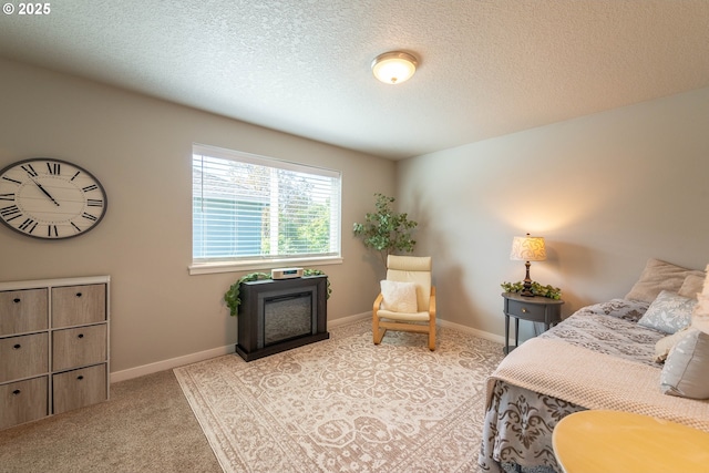 2507 NE 59th St, Vancouver, WA 98663 - bedroom with baseboards, carpet, and a textured ceiling