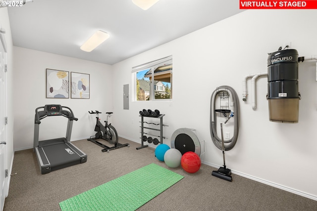 exercise room with carpet and electric panel