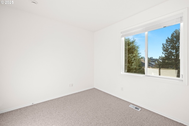 carpeted spare room with a wealth of natural light