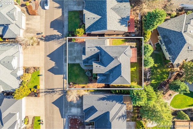 bird's eye view