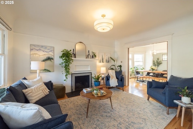 living area featuring a fireplace and wood finished floors