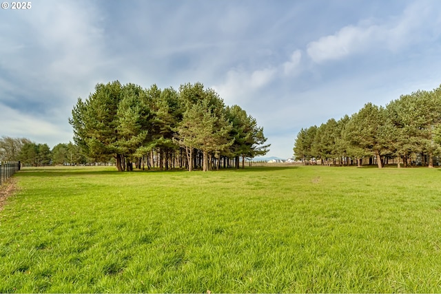 view of yard with a rural view