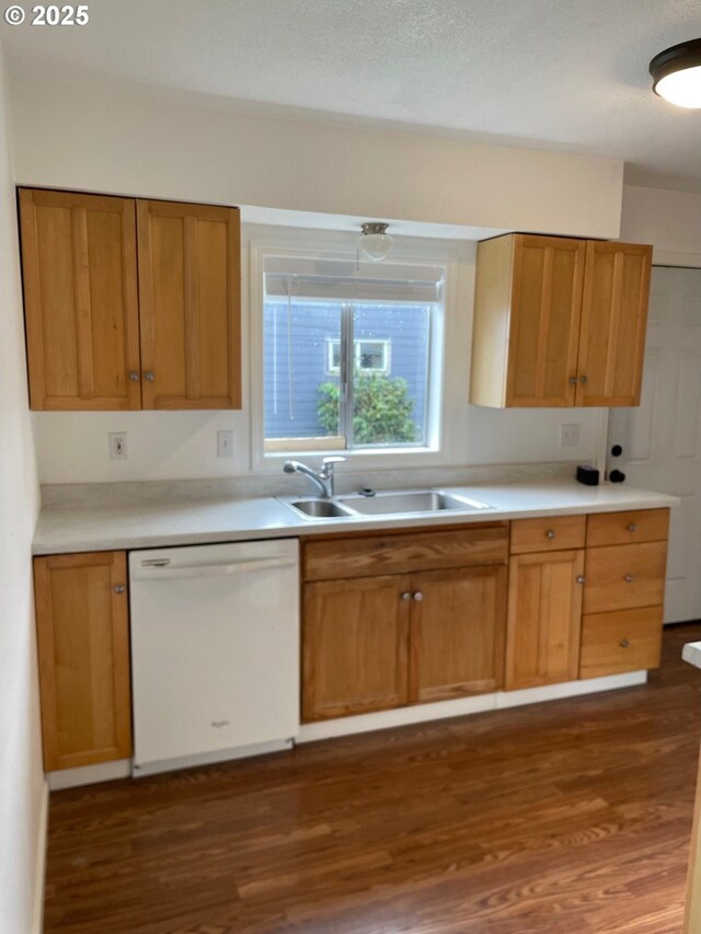 kitchen with dark hardwood / wood-style floors, sink, and white dishwasher