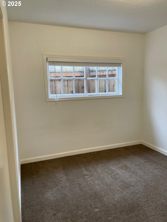 unfurnished room with carpet