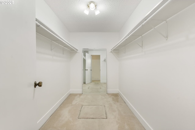 spacious closet featuring light carpet