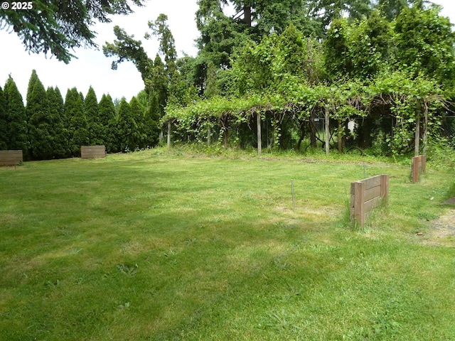 22225 SE Peggy Ann Dr, Damascus, OR 97089 - view of green lawn