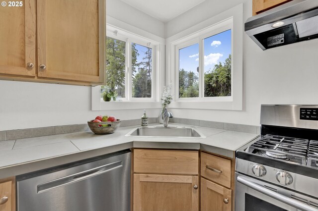 kitchen featuring stainless steel appliances, range hood, a sink, and light countertops