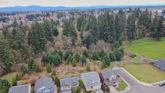 10201 NE 46th Ave, Vancouver, WA 98686 - aerial view of residential area with a mountain backdrop and a forest