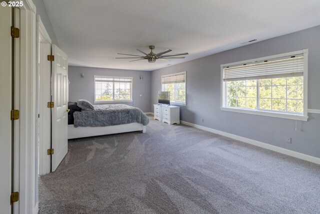 416 Elmar Dr, Winchester, OR 97495 - carpeted bedroom with baseboards and a ceiling fan