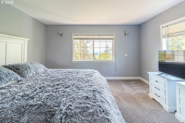 416 Elmar Dr, Winchester, OR 97495 - carpeted bedroom with baseboards