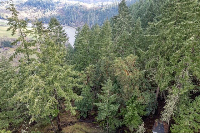 416 Elmar Dr, Winchester, OR 97495 - bird's eye view of a heavily wooded area