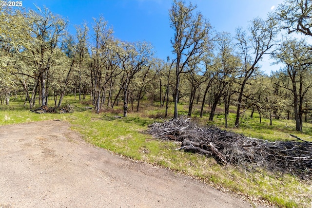 416 Elmar Dr, Winchester, OR 97495 - view of road