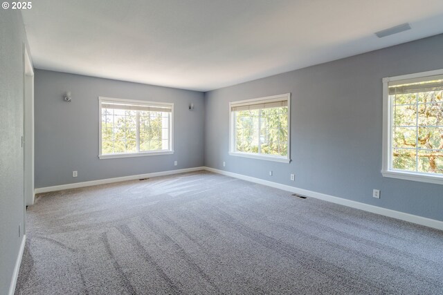 416 Elmar Dr, Winchester, OR 97495 - empty room featuring plenty of natural light, baseboards, and carpet floors