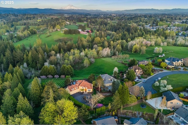 300 SE Arrow Creek Ln, Gresham, OR 97080 - aerial perspective of suburban area featuring a mountain backdrop