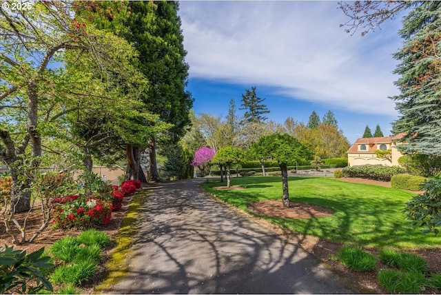 300 SE Arrow Creek Ln, Gresham, OR 97080 - view of community with a lawn