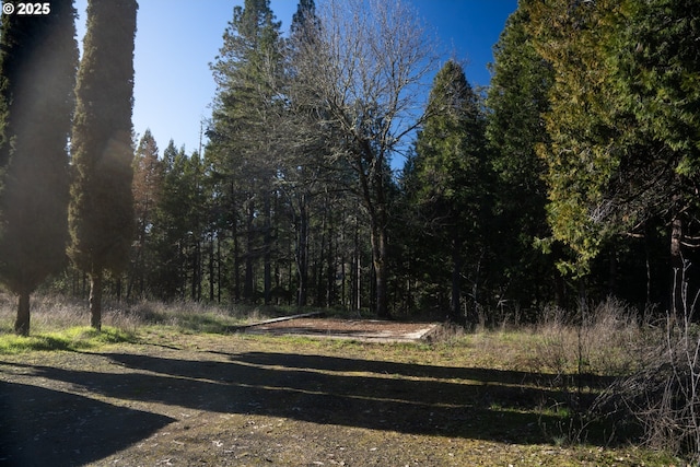 1588 Lone Rock Rd, Glide OR, 97443 land for sale